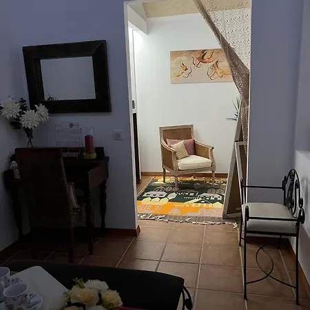 Salamandra Apartamento